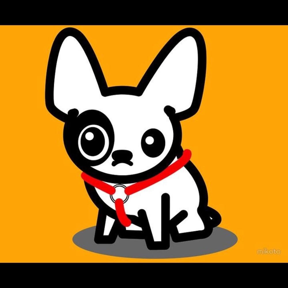 Meet your Posher, Anne